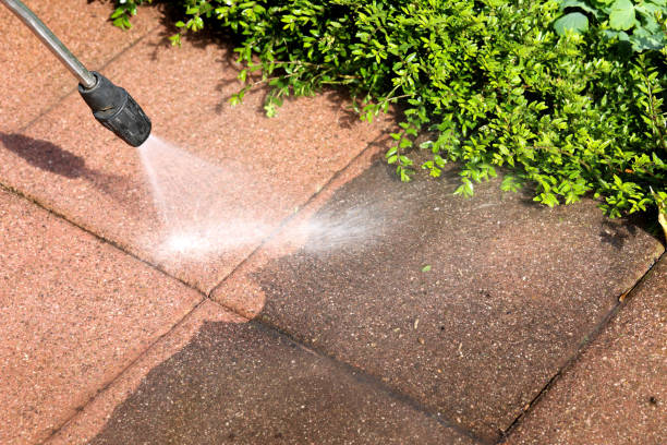 Best Best Pressure Washing Companies  in Pleasant View, UT